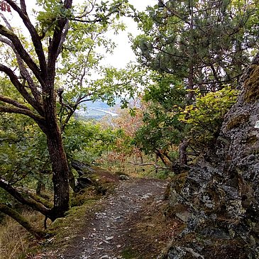 Felsenpfad