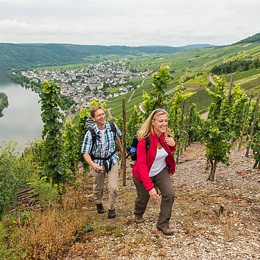 Blick aus den Weinbergen des Steffensbergs auf Kröv