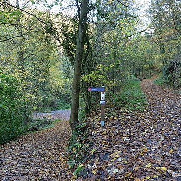 Abzweigung zum Wasserfall (mit dem Kinderwagen diesen Zwischenstopp auslassen=