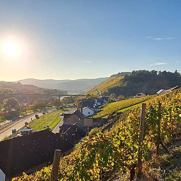 Sonne über Lieser