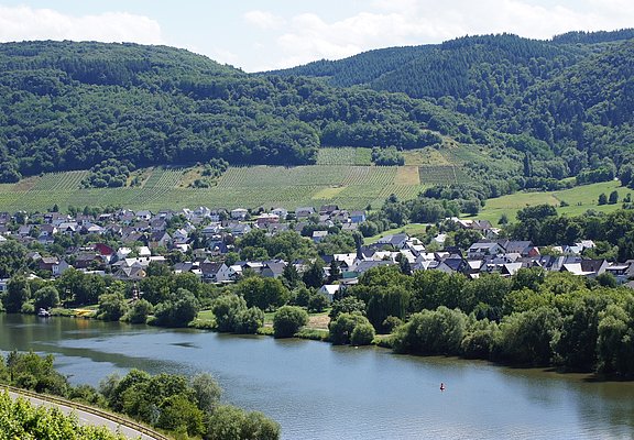 Andel an der Mosel