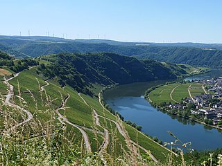 Aussblick von Moselpanoramastraße Piesport