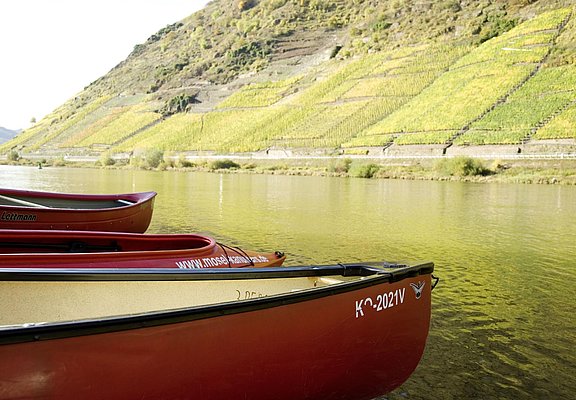 Kanus in der Mosel