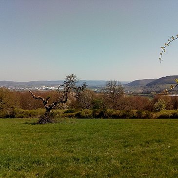Aussicht zur Wittlicher Senke