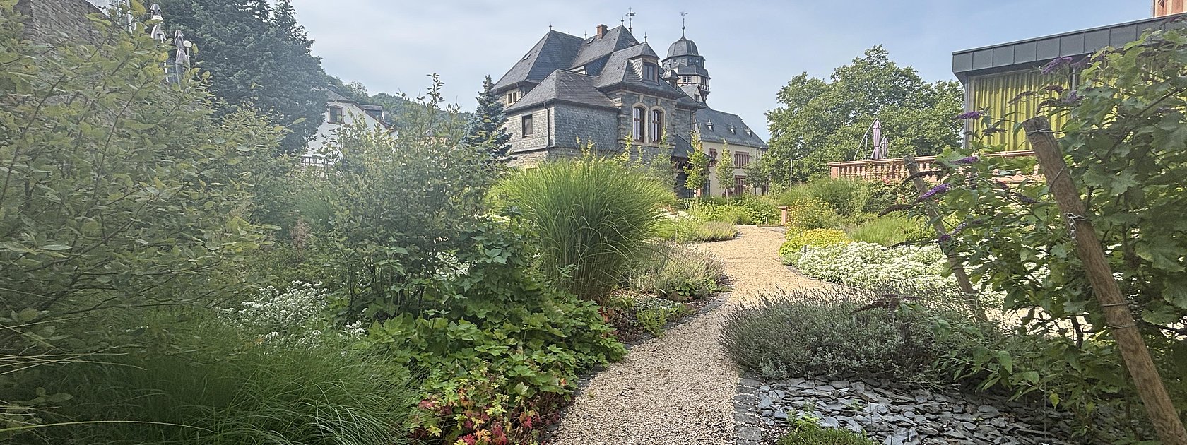 Weg im Stadtpark