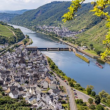 Mosel Neef St. Aldegund Leuchtpunkt