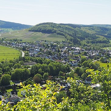 Ausblick auf Maring-Noviand