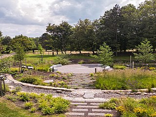 Nebelgarten