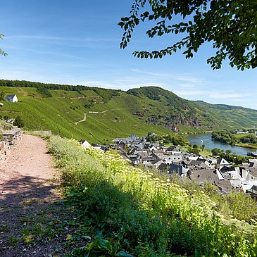 Ürziger Gewürz- & Rosengarten