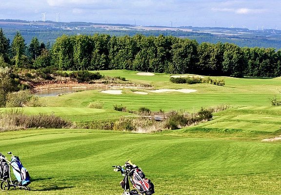 Blick auf die Grass Landschaft des Golfclubs Cochem mit Waldrand im Hintergrund