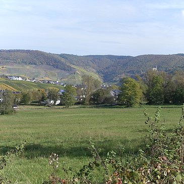 Moselkulturlandschaft: Ideal zum Wandern