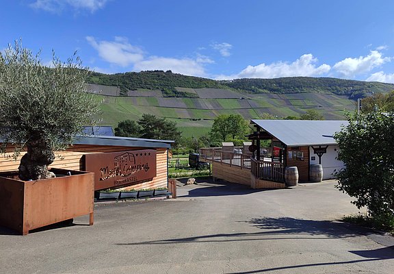 Mosel Camping Bernkastel