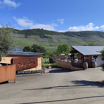 Mosel Camping Bernkastel