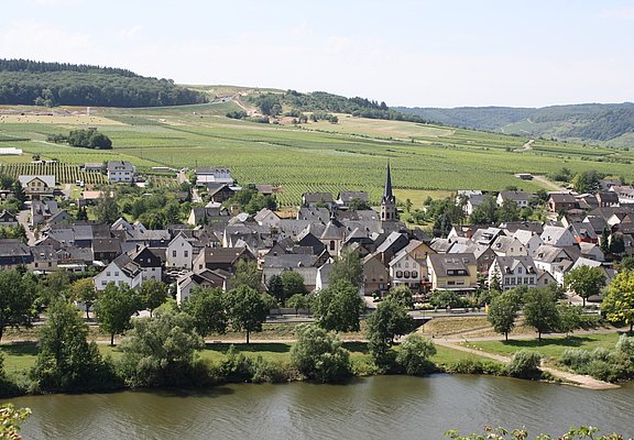 Blick auf den Weinort Erden vom "Treppchen" aus 