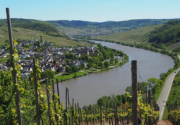 Blick auf Neumagen-Dhron