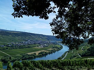 Aussicht auf Wintirch