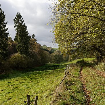 Wald und Wiesenweg