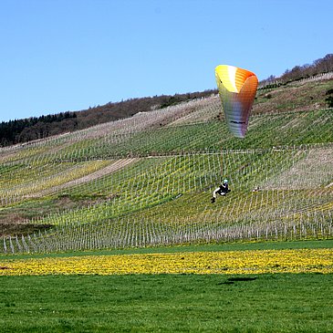 Drachenflieger Maring-Noviand