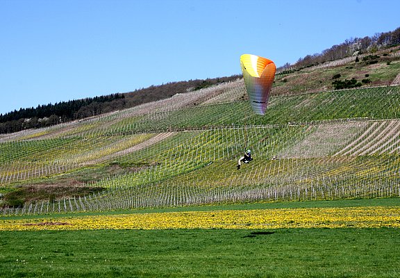 Drachenflieger Maring-Noviand