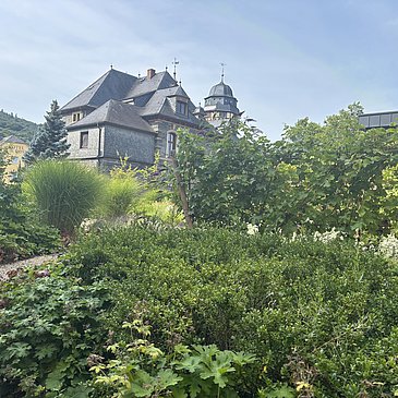 Grünanlage im Stadtpark
