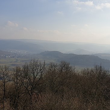 Blick vom Grainskopf auf die Umlaufberge von Lieser und Mülheim