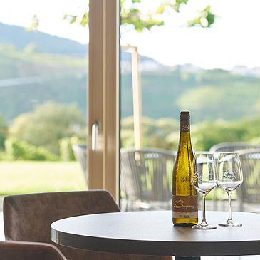 Weingut Boujong Weingeuss mit Ausblick