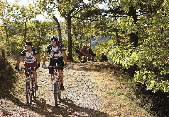 Tour über den Moselberg
