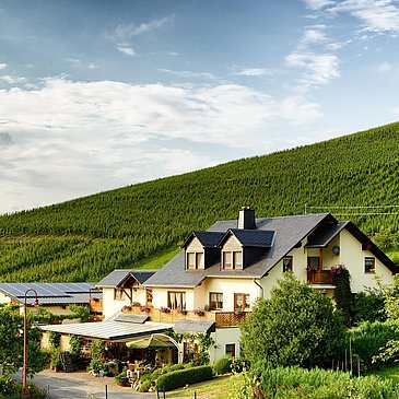Weingut Kruft-Willems