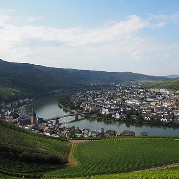 Weinberge über Bernkastel-Kues