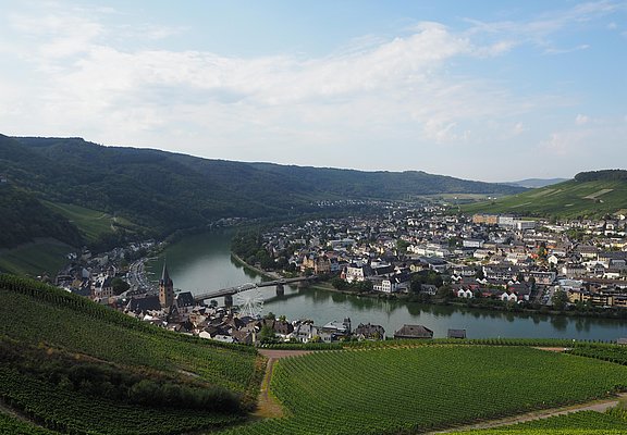 Weinberge über Bernkastel-Kues