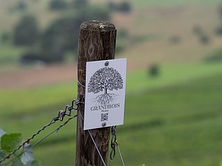 Schild im Weinberg