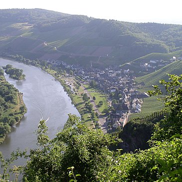 Panorama 2