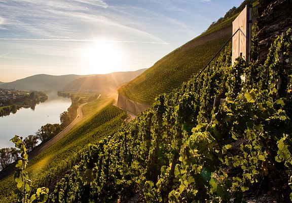 Brauenebrger Juffer hoch über dem Weinort