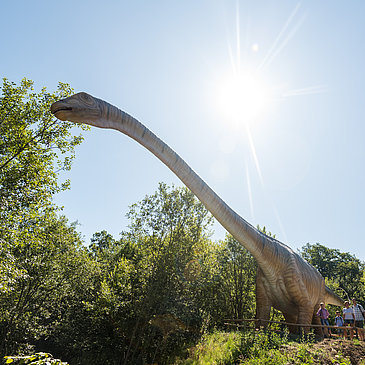 Das Bild zeigt einen Langhalsdinosaurier im Dinopark Teufelsschlucht.