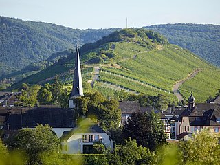 Mülheim an der Mosel