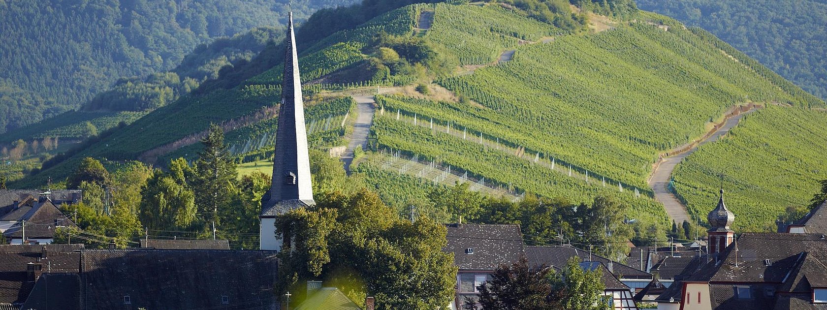 Mülheim an der Mosel