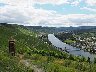 Blick auf die Weinberge