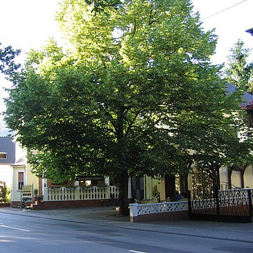Weingut