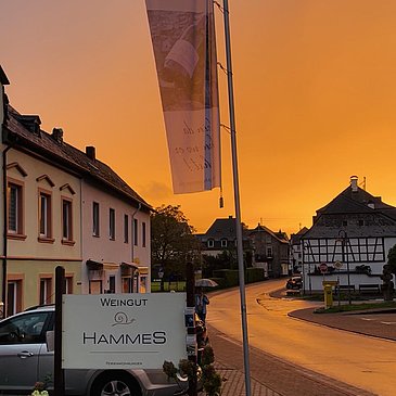 Weingut Hammes Sonnenuntergang