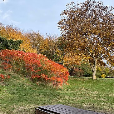 IMG_3185