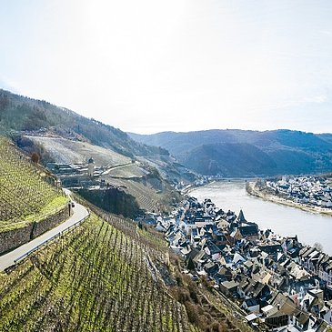 Weinberge bei Zell