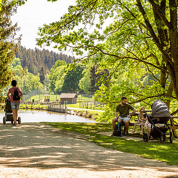 Das Bild zeigt einen idyllischen Waldweg. Ein Vater mit Kinderwagen sitz auf einer Bank. Auf dem Weg gehen zwei Frauen ebenfalls mit einem Kinderwagen.