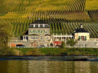 Weingut Dr. Loosen