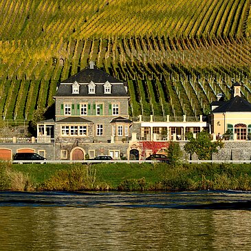 Weingut Dr. Loosen