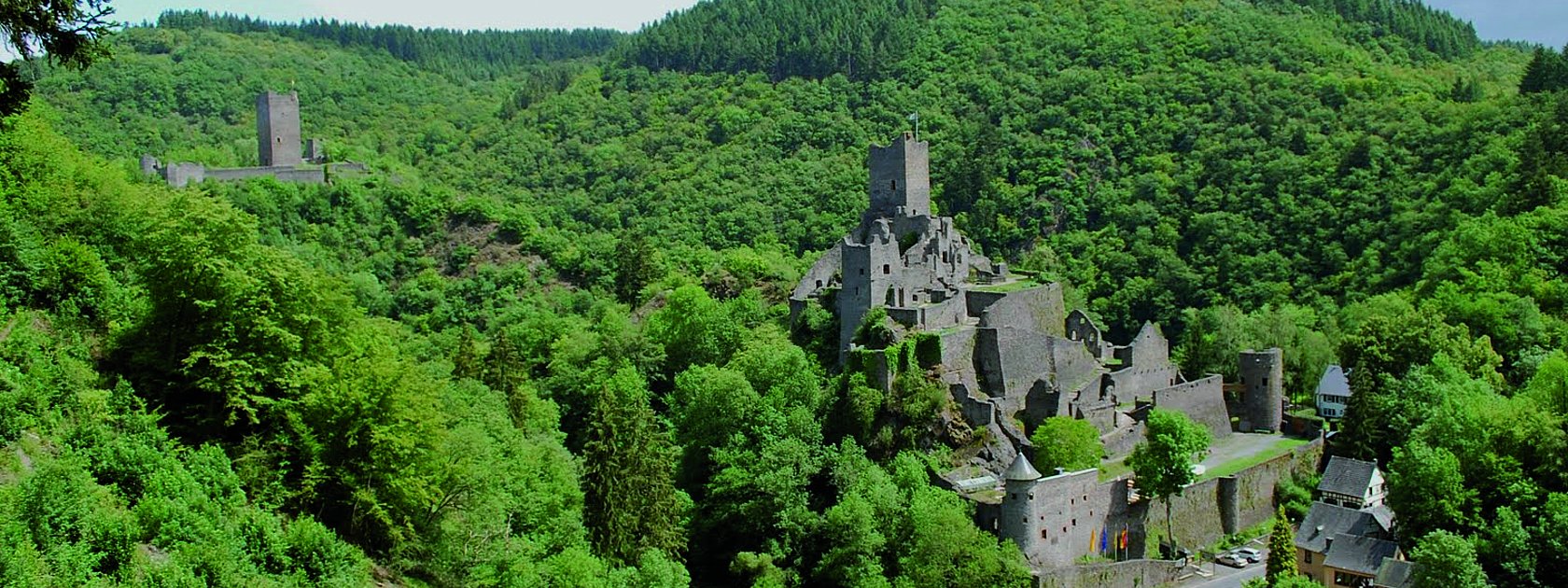 Das Bild zeigt die Manderscheider Burgen inmitten eines grünen Waldtales.