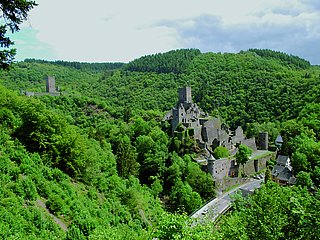Das Bild zeigt die Manderscheider Burgen inmitten eines grünen Waldtales.