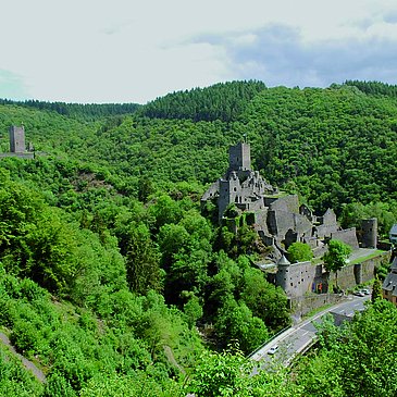 Das Bild zeigt die Manderscheider Burgen inmitten eines grünen Waldtales.