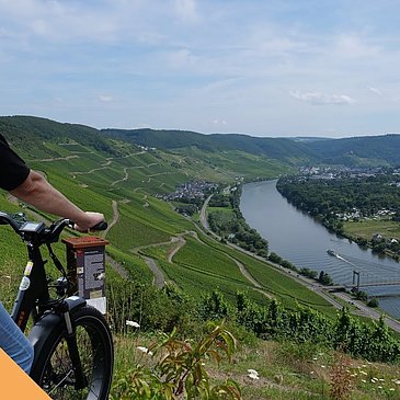 Radfahren an der Mosel durch Weinberge & entlang des Ufers