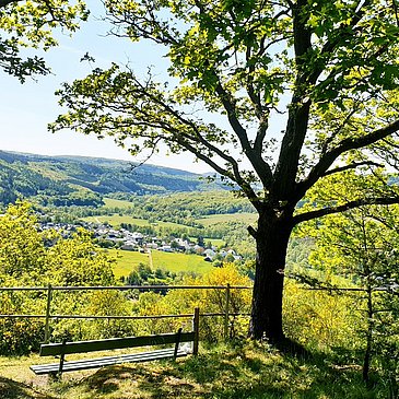 Rast mitten in der Natur