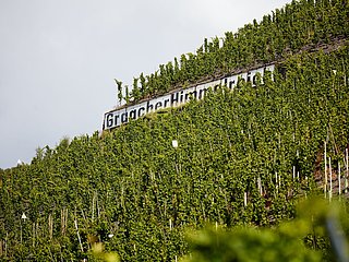 Graacher Himmelreich
